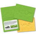 Brilliant Paper Value Seed Card / Wildflower or Basil (5.5"x4.25")